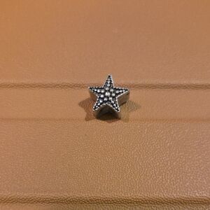 Pandora Silver Starfish Charm